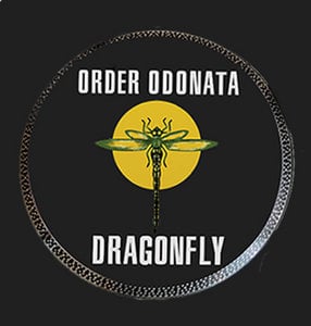 Dragonfly Records logo